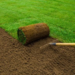 Premium Plus Turf